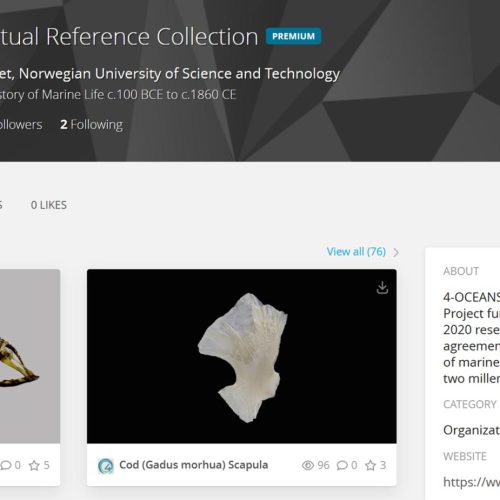 Resources-Bones-Reference-Collection